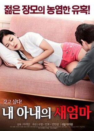 我妻子的新妈妈