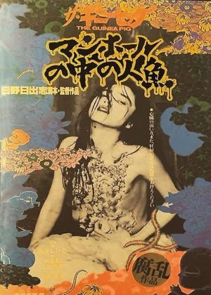 下水道的美人鱼 世界十大禁