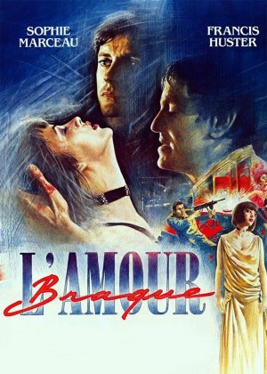 狂野的爱 苏菲玛索