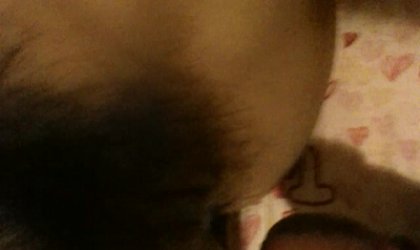 墨尔本大一留学约