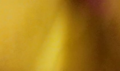 感谢91小姐姐一起魔都