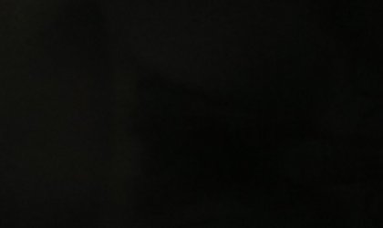 024听叫声冒雨去约会