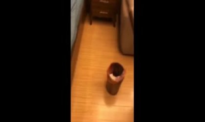 渣男主播演绎请贪吃女同事吃大餐往饮料里加料去酒店开房啪啪美女的表情