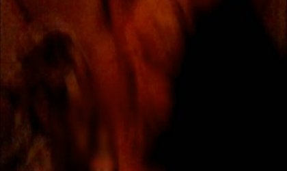 蜂腰美臀大眼美女国模海伦与摄影师性爱互动私拍流出 无套猛操内射 完美露脸 大尺度私拍1463P 高清10