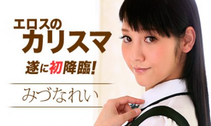 大学生系类Acme依