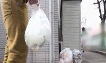 一個早晨垃圾出鄰居玩情人Nobra妻子Yone