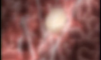 新．胁迫2THE ANIMATIONSCENE.1 