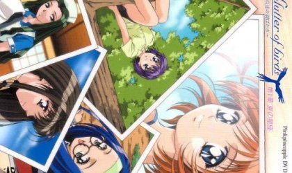 flutter of birds ～鳥達の羽ばたき～