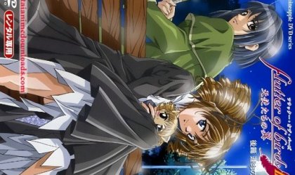 flutter of birdsII ～天使たちの翼～ 後編「運