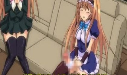 从早到晚挤个不停 牛奶瓶 棒牛