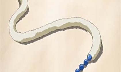 彼女がネコミミに着