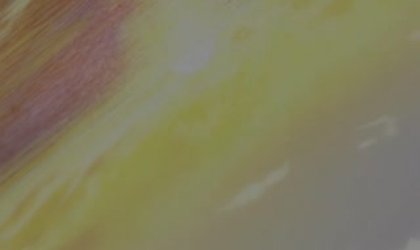 鬼父 Refresh 骄傲的浪漫中